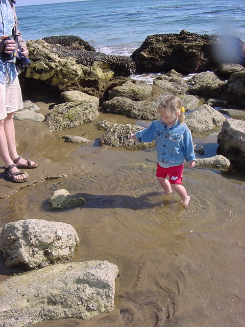 Chloé tide pools 1