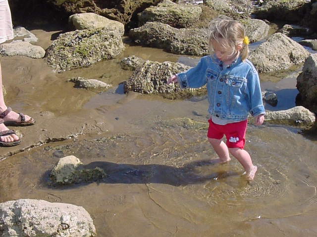 Chloé tide pools 2